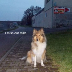 The day you killed yourself