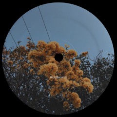 Cássia Eller - Malandragem