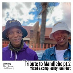 Tribute to Mandlebe pt.2
