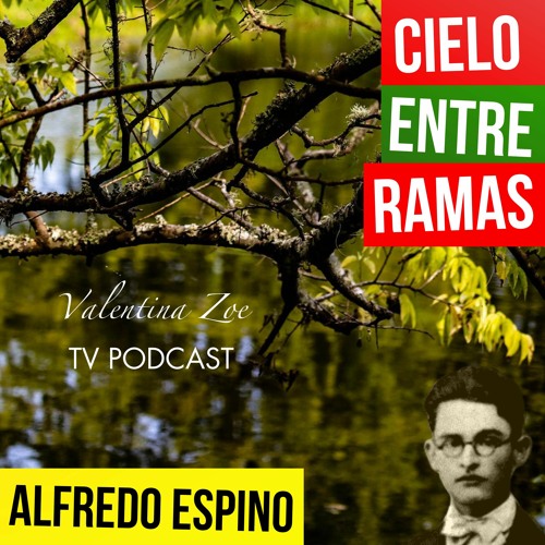 Stream CIELO ENTRE RAMAS ALFREDO ESPINO 🐦📿 Jícaras Tristes Auras del