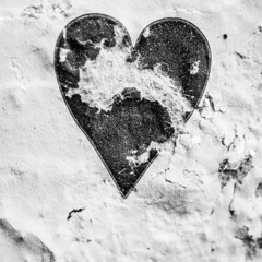 shake the party-Heartless party