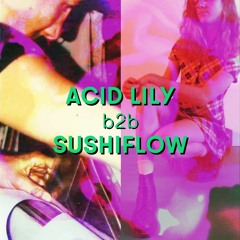 Sushiflow B2B Acid Lily at MIXXFITTE {@Secret Location ~ February 2024}