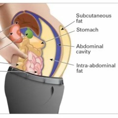 STBB#852 Deep Down And Much Too Far