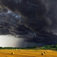 Preparing for the Coming Storm by Gregg Krech