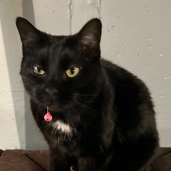 hand crushed by a mallet (wumbo)