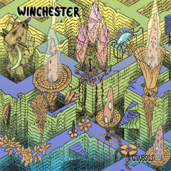 Winchester - Nematic Twist