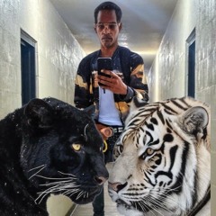 Selective understanding