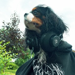 ЮГ 404-Мы с тобой собаки (speed up)