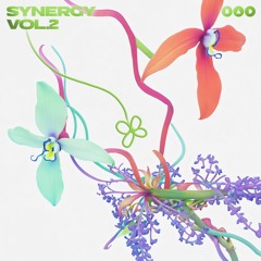 B.A.D. Presents: Synergy Vol. 2