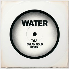 Tyla - Water (dylan gold remix)