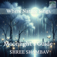 A9 - 05 Moonlight’s Guide
