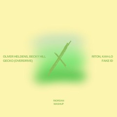 Gecko X Fake ID - Riordan Mix