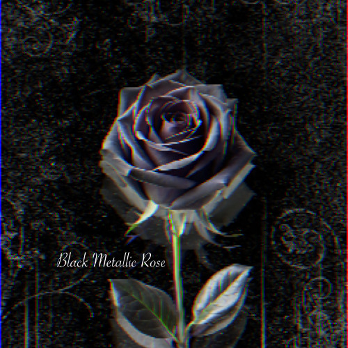 Black Metallic Rose