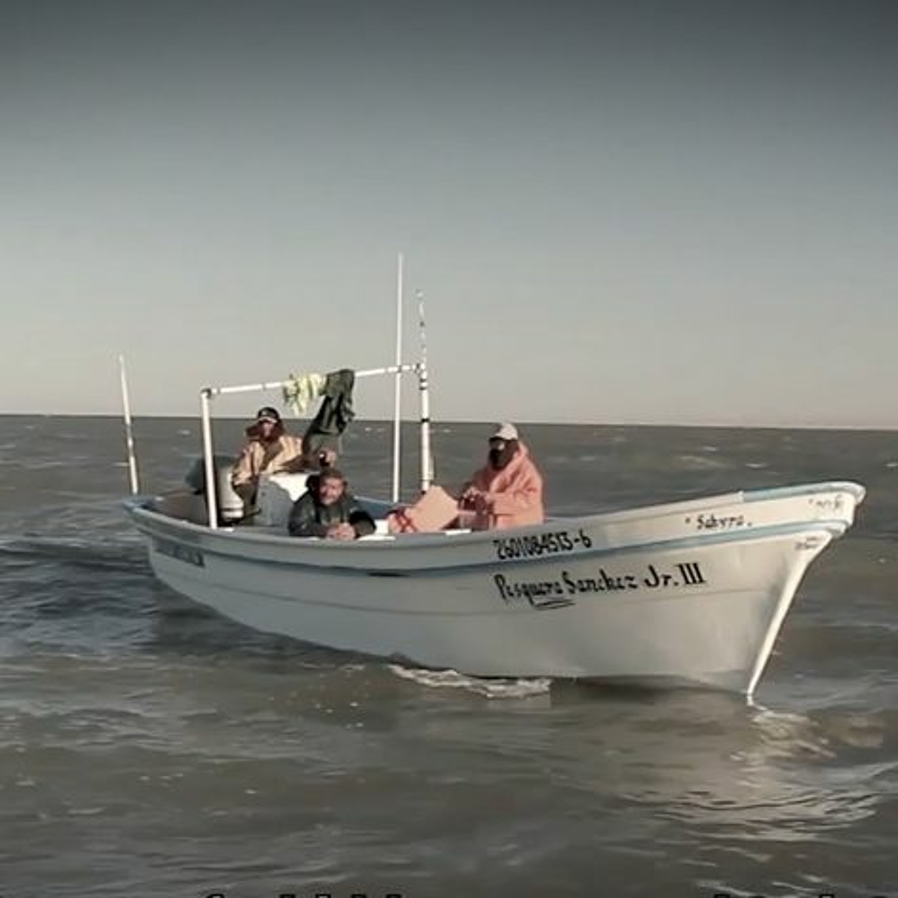 Marcela Vásquez-León: The Problem with Protecting the Vaquita episode artwork