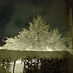 The love from an ALIEN