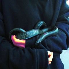 snake zippin