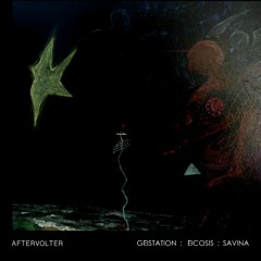 AFTERVOLTER - Geistation - Ecoisis - Savina - 2021 - 18 Savina's Song