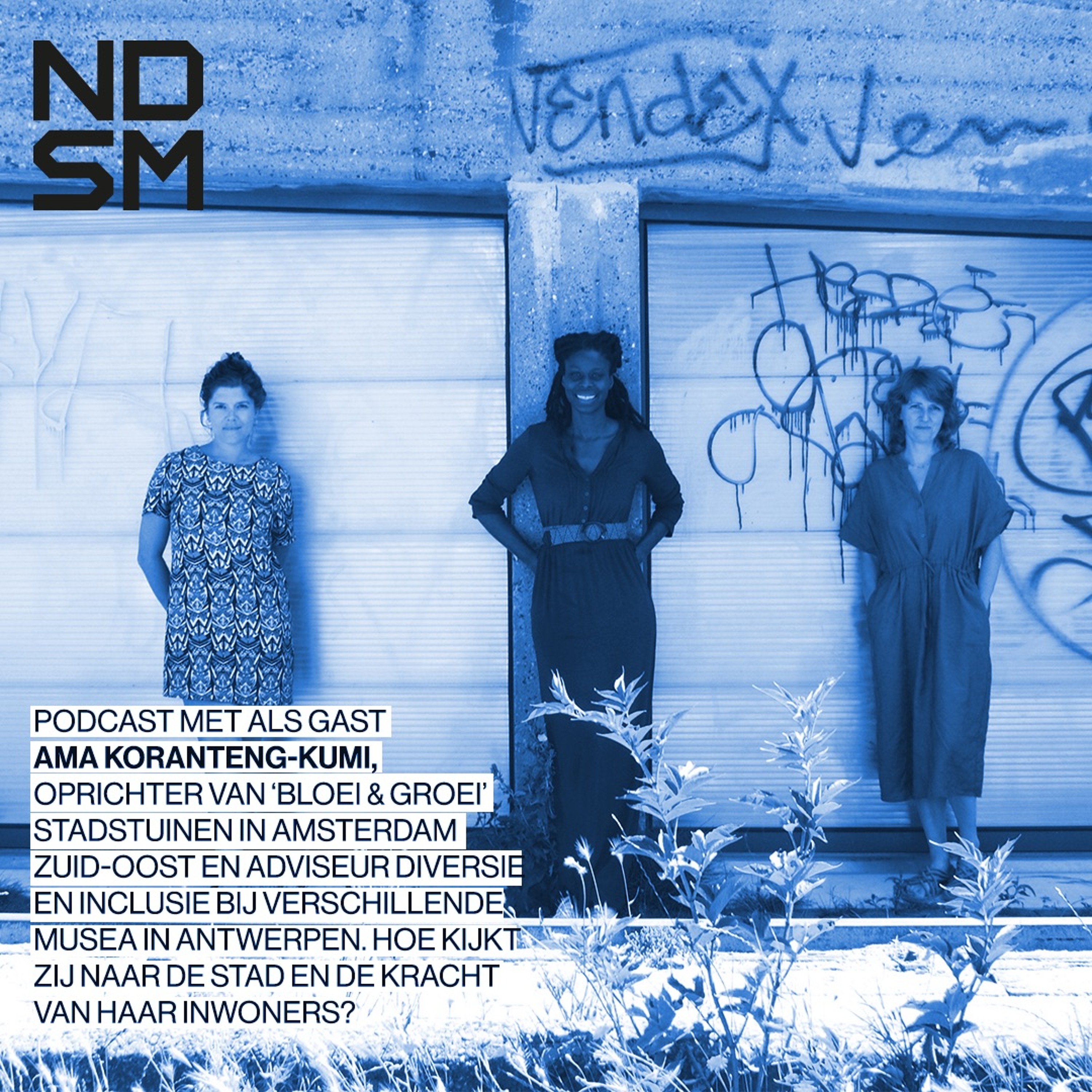NDSM X