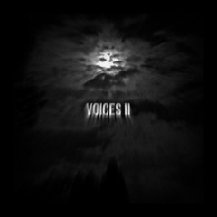 voices ll - (ft: K3NT4!)