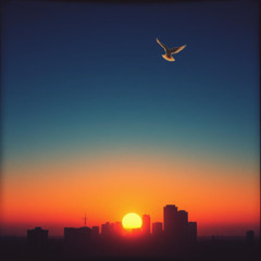 Only After the Chaos