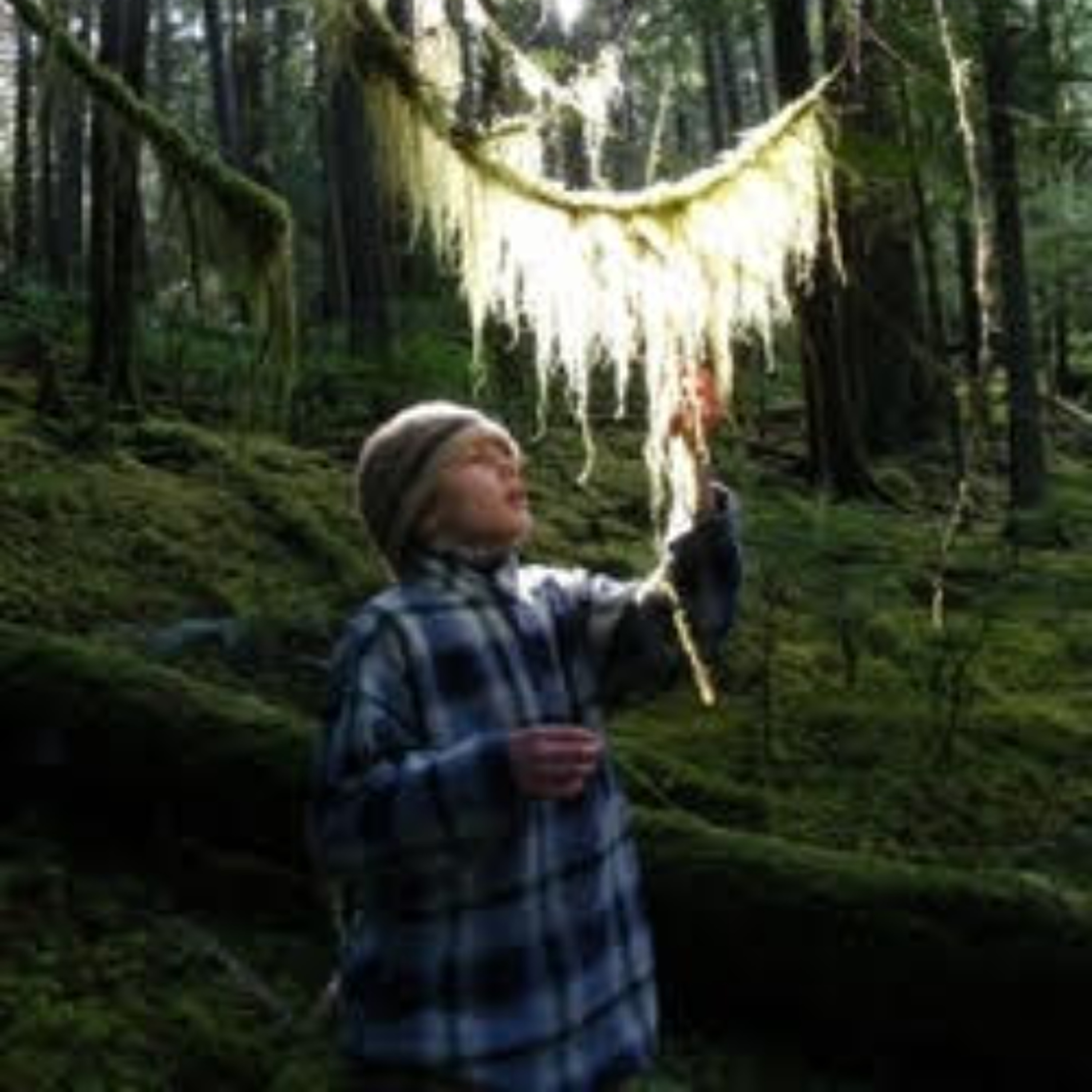 +70_ of purchase price for Children's Forest raised episode artwork