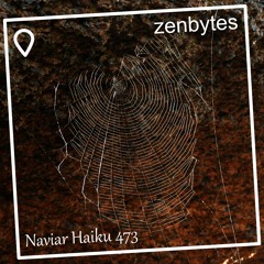 spider in tune - Naviarhaiku 473