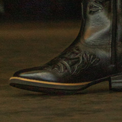 Bota