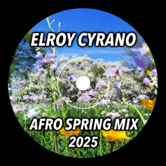 AFRO SPRING MIX 2025 | Antdot | Raffa Guido | Moeaike | Super Flu | Noah Becker | Rampa | Keinemusik