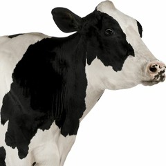 Captain PeeRice [Ft. MOSHIZ] (Prod. Rajaste)