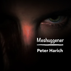 Meshuggener