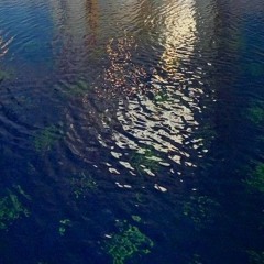 clarity(interlude)