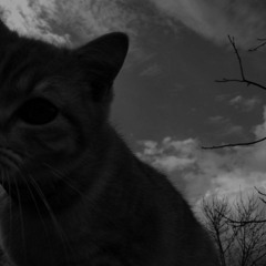 Elman_Zarya_ta_zari_s_toboyu.mp3