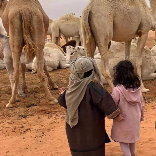 الله يالدنيا نساني وما ذكرني واحنا كنا من الصغر دايم سويا