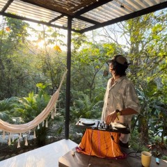 sunrise set in Costa Rica jungle