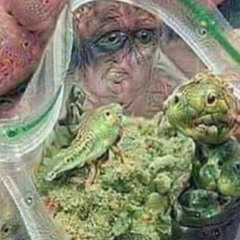 Fall time (Prod: ToryOnTheBeat)