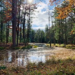 Calm Like The River