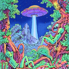 jungle all night long 2