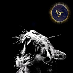 My Mixes - Collection