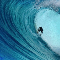 Surfing ( Searching )