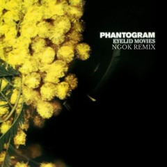 Phantogram - When I'm Small (NGOK Remix)