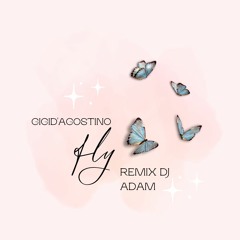 Gigi D'Agostino - Fly (remix) Dj Adam
