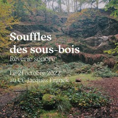Rêverie sonore ✧ Souffles des sous-bois • Le 21 octobre 2022 au CC Jacques Franck
