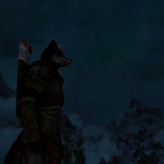 Chasing Dreams in Skyrim