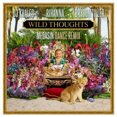 Wild Thoughts (Medasin Dance Remix) [feat. Rihanna & Bryson Tiller]