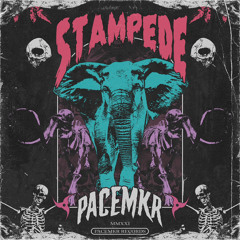 PaceMKR - STAMPEDE