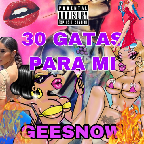 30 GATAS PARA MI