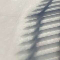 aliVe@noisebridge San Fransisco