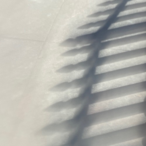 aliVe@noisebridge San Fransisco