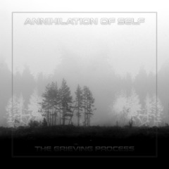 The Grieving Process