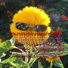 YARi SPECiALS SHOWCASE VOL. 1